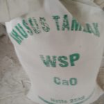 WhatsApp Image 2022-11-22 at 09.22.46